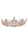Bloom in the Pot Rhinestone Tiara