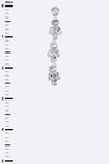 CZ Long Drop Iconic Earrings