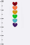 Rainbow Color Heart Drop Acrylic Earrings