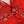 B7366B59C8BFBC05F741EE9979C75B2F/20100795_40785f95-0722-4710-b619-1c8316718fb2.jpg