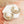 Seashell Charm Raffia Hoop Earrings - Golden Glow