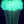Tutu