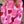 802284148E090B41E8DC54B1F61AE6E9/24840679_6af69dc5-10d9-4d1d-aee0-5941fc33a211.jpg