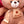 CUTE BIG BEAR PLUSH