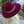 WIDE BRIM DANDY PANAMA HAT FOR WOMEN