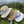 FOLD STRIPED BOW STRAW HAT WHITE WITH NAVY BAND