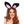 DionaJ Plush Easter Bunny Rabbt Ear Headband Party Costume Hair Accessorie Black