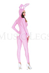 Playfully Pink Rabbit