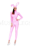 Playfully Pink Rabbit