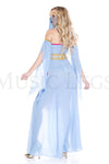 Harem Princess Costume
