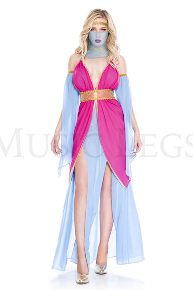 Music Legs Harem Princess Costume