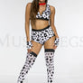 Doggy Dalmation