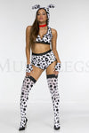 Doggy Dalmation