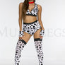 Doggy Dalmation