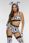 Doggy Dalmation