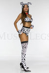 Doggy Dalmation