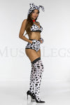 Doggy Dalmation