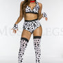 Doggy Dalmation