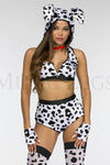 Doggy Dalmation