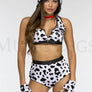 Doggy Dalmation