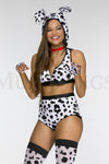 Doggy Dalmation