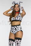Doggy Dalmation