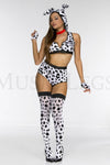 Doggy Dalmation