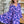 Double Take Full Size Printed Ruffle Hem Dress with Pocket
