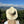 MULTI COLOR BRAIDED BAND PANAMA HAT