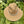 MULTI COLOR BRAIDED BAND PANAMA HAT