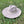 WIDE BRIM DANDY PANAMA HAT FOR WOMEN