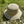 KIDSSTRAW BUCKET SUN HAT