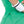 Diona J Women's Green Leprechaun St. Patrick's Day Costume