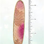 1A578ECD78566D4B19E01F66CE74173F/9a5e5aee-ad8f-4d8d-a313-7b95e96facbd.jpg