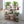 Tiered Plant Stands Wooden Plant Shelf Flower Pot Stand Garden Shelves Multi-Tier Plant Display Stand