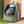 Transparent Pet Cat Carrier Bag Outdoor Travel Backpack for Cats Small Dogs Breathable Cat Carrying Bag Pet Supplies