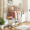 Double Rod Clothing Garment Rack, Rolling Clothes Organizer on Wheels for Hanging Clothes,with 4 hooks, Chrome