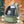 Transparent Pet Cat Carrier Bag Outdoor Travel Backpack for Cats Small Dogs Breathable Cat Carrying Bag Pet Supplies