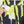 3XL Yellow Black Outfit Set