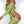 7FB150EC289C9E20E4163DBD067612C9/c997d955-3677-4da9-a28a-db8435d43282.jpg