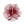 Burgundy Flower Feather Polka Dot Fascinator