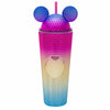 Diona J Cute Ear Tumbler With Straw And Lid Rainbow