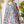e9409fac-c789-4043-b4cb-2d1d89777830-Min