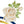 Nefertiti's Gilded Bloom: XL Gold Rose Brooch