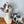 Cow Print Draw String Cowboy Hat