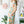 fa9c4ecf-e755-44cb-bd36-5cb00359a2b0-Min