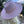 WIDE BRIM DANDY PANAMA HAT FOR WOMEN