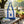ZPB Sorority Large Canvas Tote Bag Reusable Merch