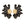 Studs Black Half Daisy Flower Earrings for Women