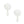Stud White Rose White Pearl Teardrop Earrings
